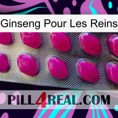 Ginseng For Kidney 09